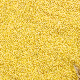 Grains of wheat and wheat spikelets. Top view